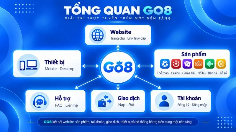 Tổng quan thương hiệu GO8 và các nhóm nội dung trên website